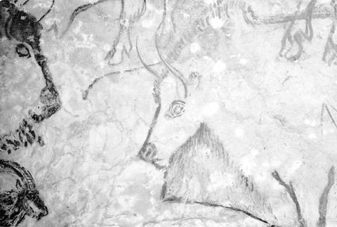 Image of Préhistoire. Paléolithique. Empreinte de l'enfant, Salle des  Disques, Grotte de